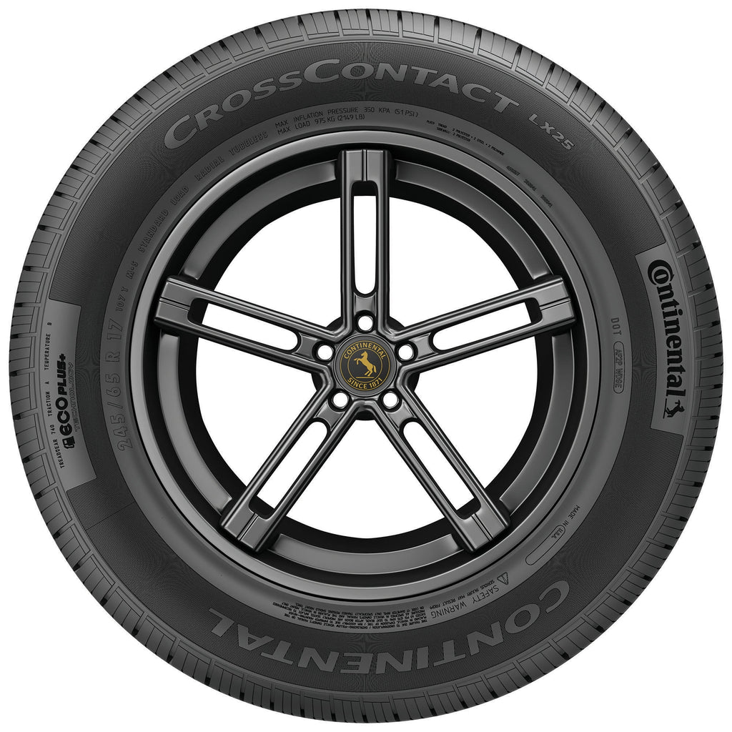 All Season Tire M615