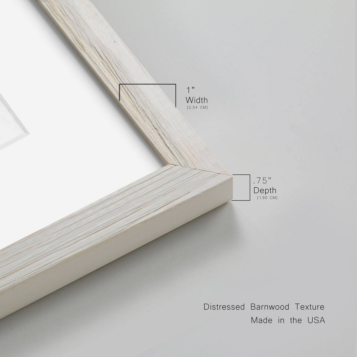 Framed Print A67462