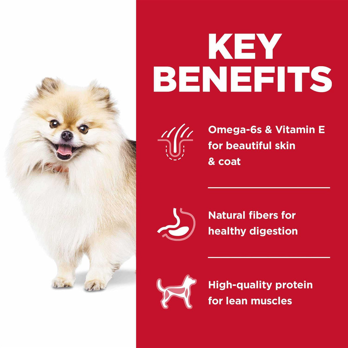 Dry Dog Food C2596