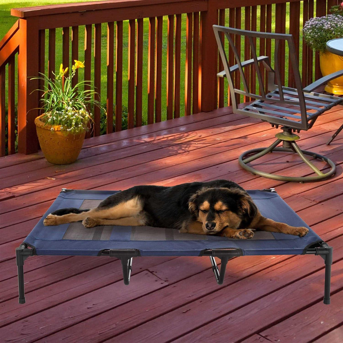 Cot-Style Elevated Pet Bed V6548