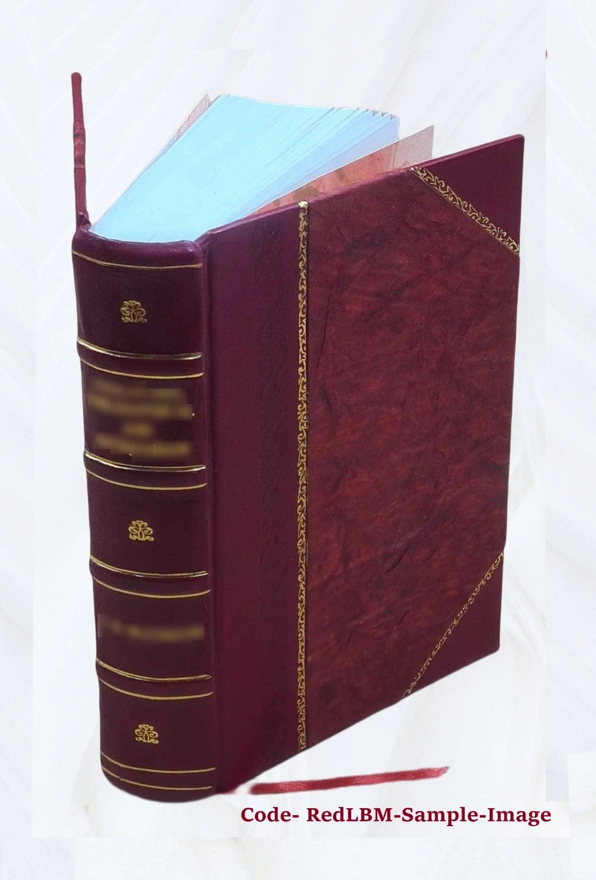 Leather Bound Book L296622