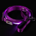 LED Dog Leash USB Rechargeable R398944
