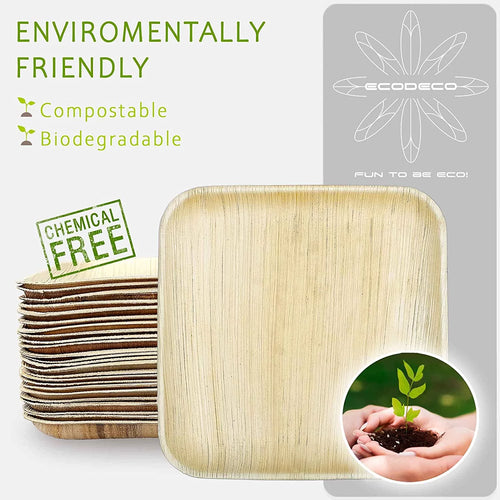 100 Palm Leaf 10 inch Disposable Plates O610