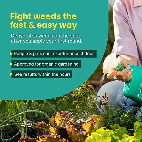 32 oz 2 Pack Organic Weed Killer Spray F910199