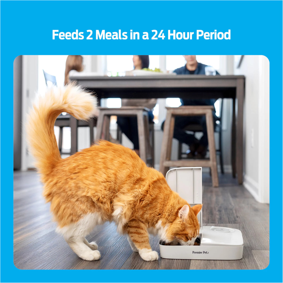 Automatic Timer Pet Feeder U571