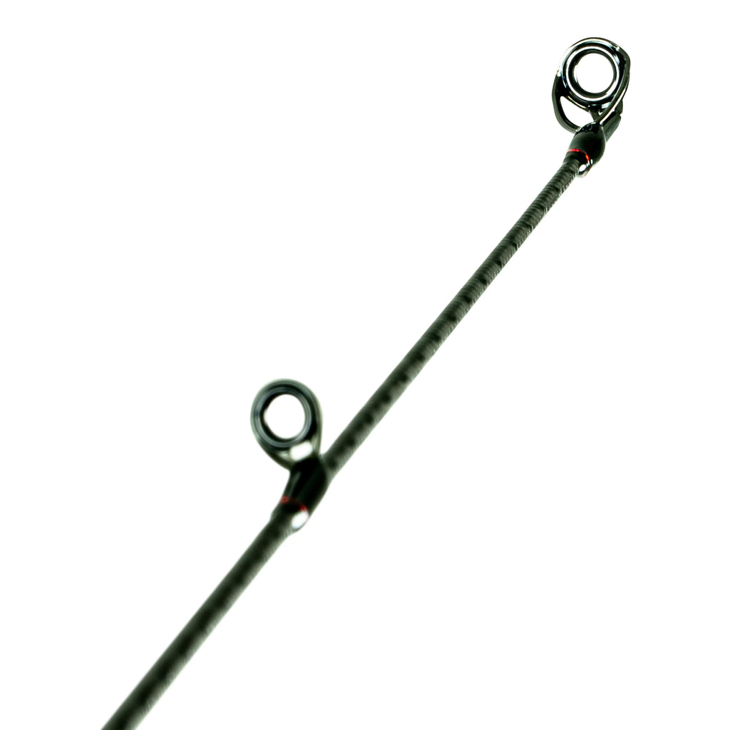 Freshwater Spinning Bass L4526