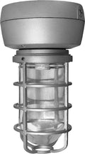 70W MH Ceiling Light with Glass Globe Y1683