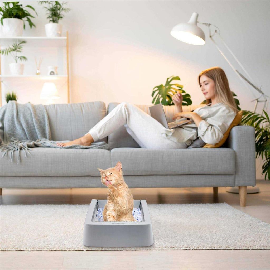 Stainless Steel Reusable Litter Tray R213079