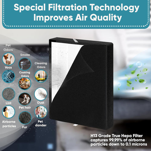 2 Pack H13 Grade True Hepa Replacement Filter T739847