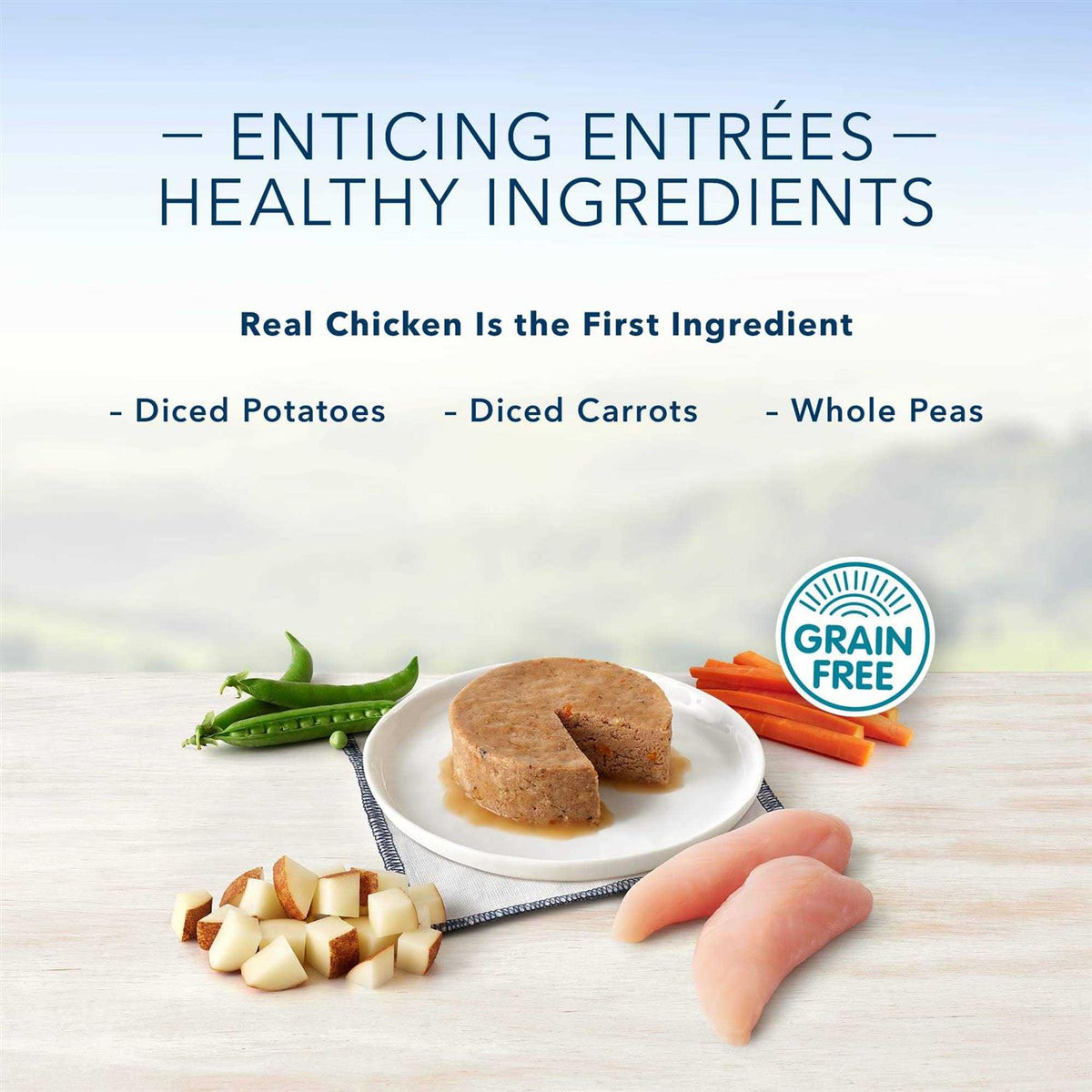 Grilled Chicken Flavor Pate Small Breed Dog Food R62296