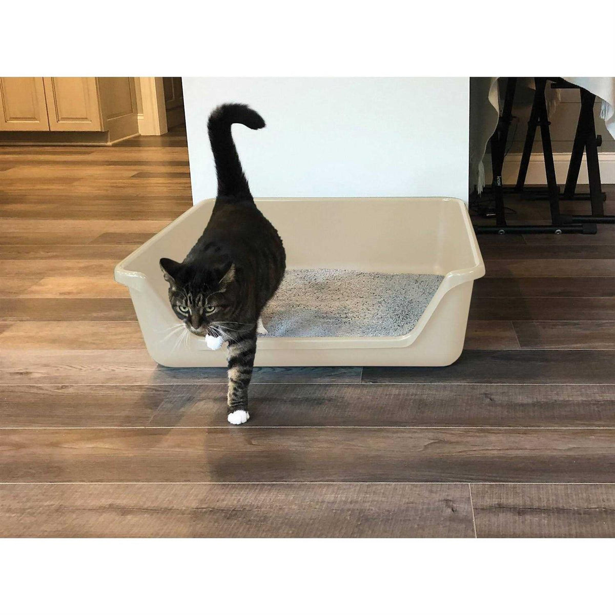 Senior Cat Litter Box J91688