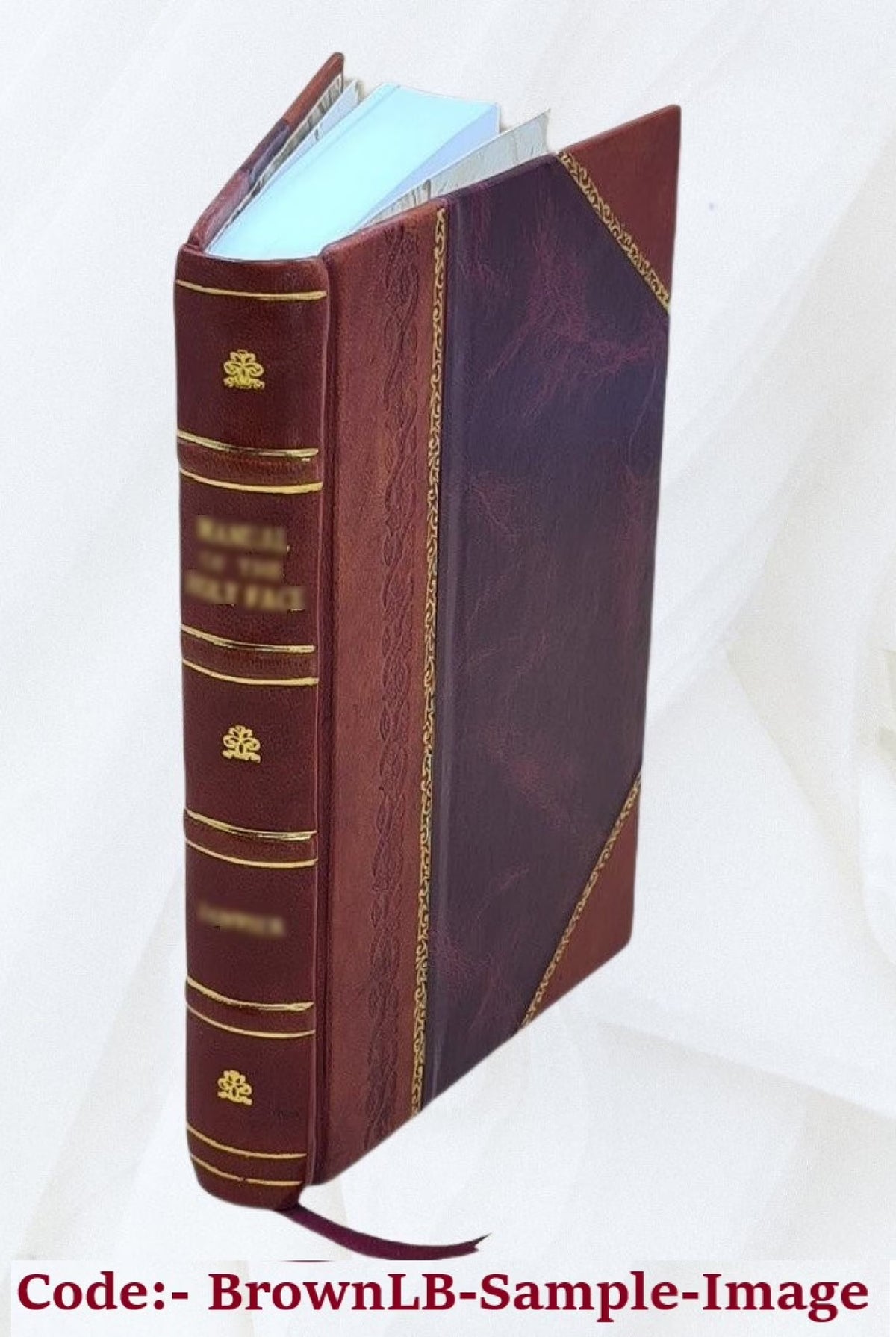 Leather Bound Book S839