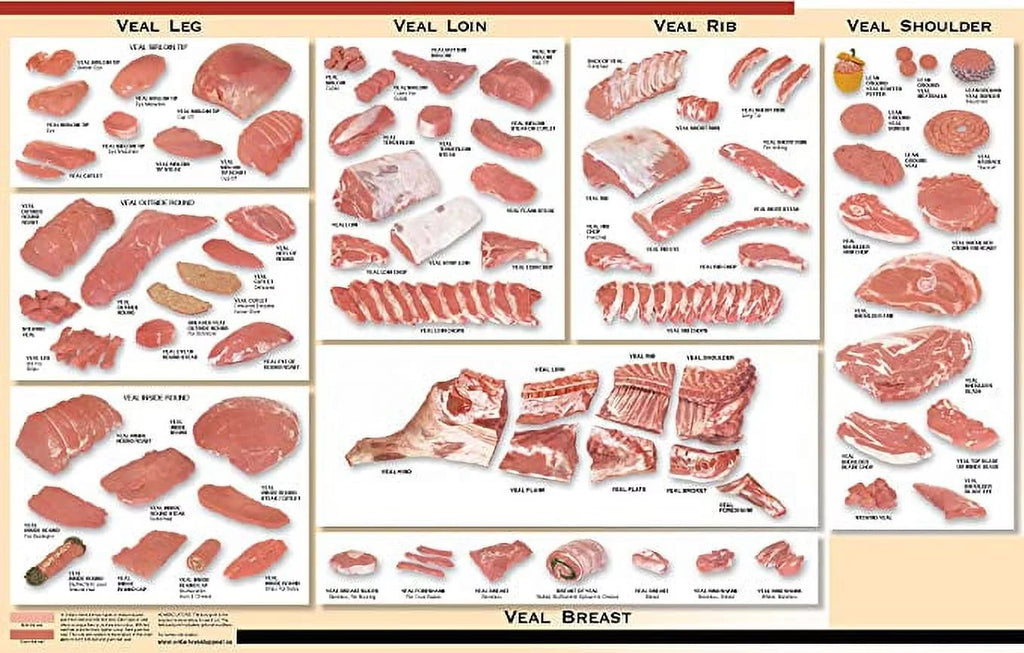 24x36 Poster: Veal Cuts Butcher Chart Z4441