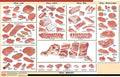 24x36 Poster: Veal Cuts Butcher Chart Z4441