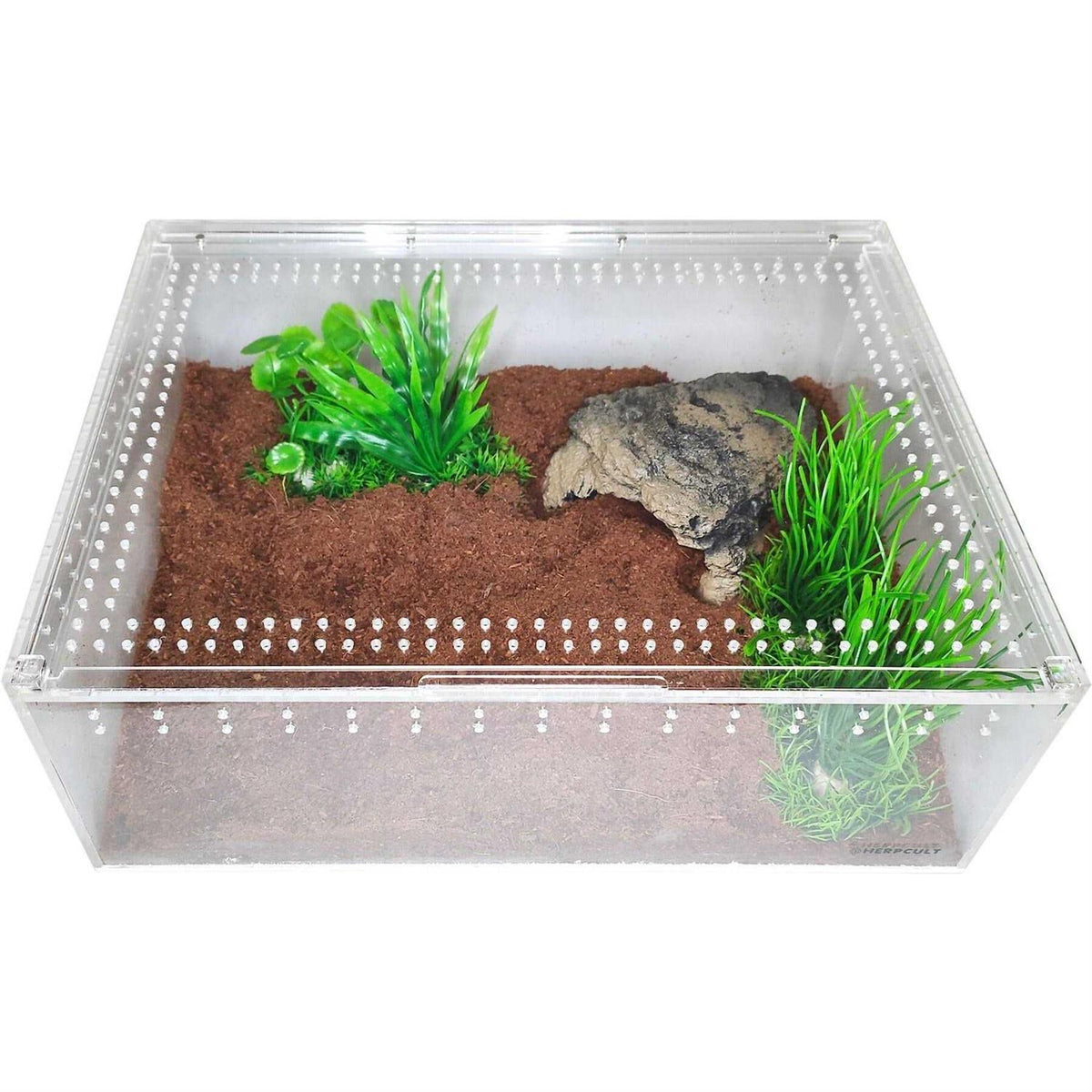 Acrylic Insect & Reptile Terrarium S41944