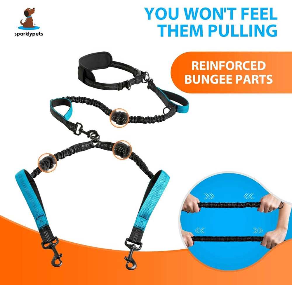 Hands Free Double Dog Leash I3655