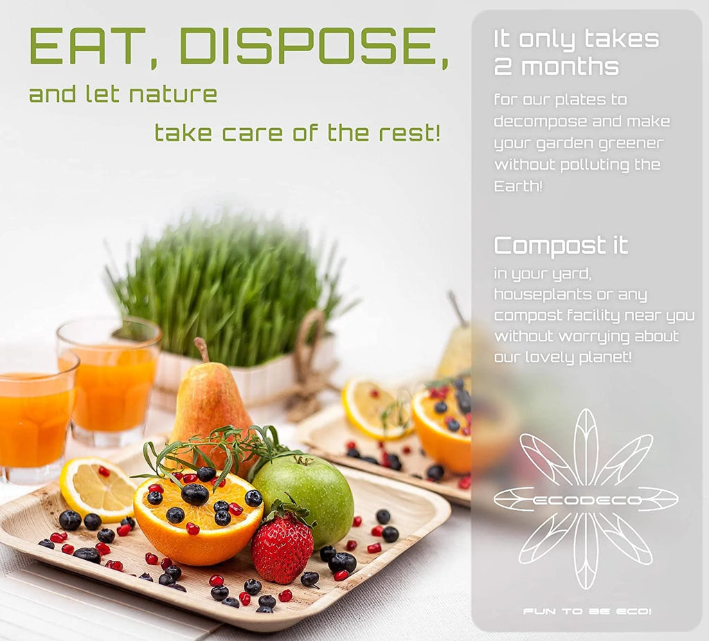 100 Palm Leaf 10 inch Disposable Plates O610