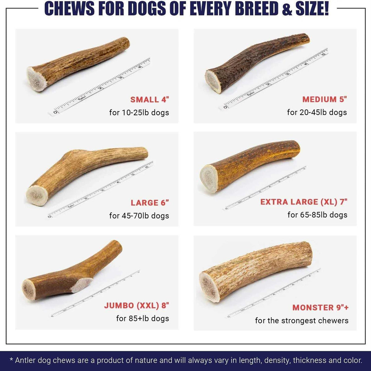 Elk Antler Dog Chew U377