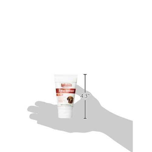 Dog Ointment B802312