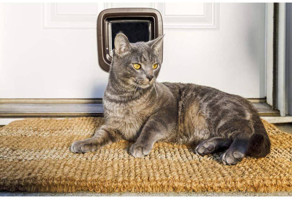 Brown 4 Way Locking Cat Flap S394