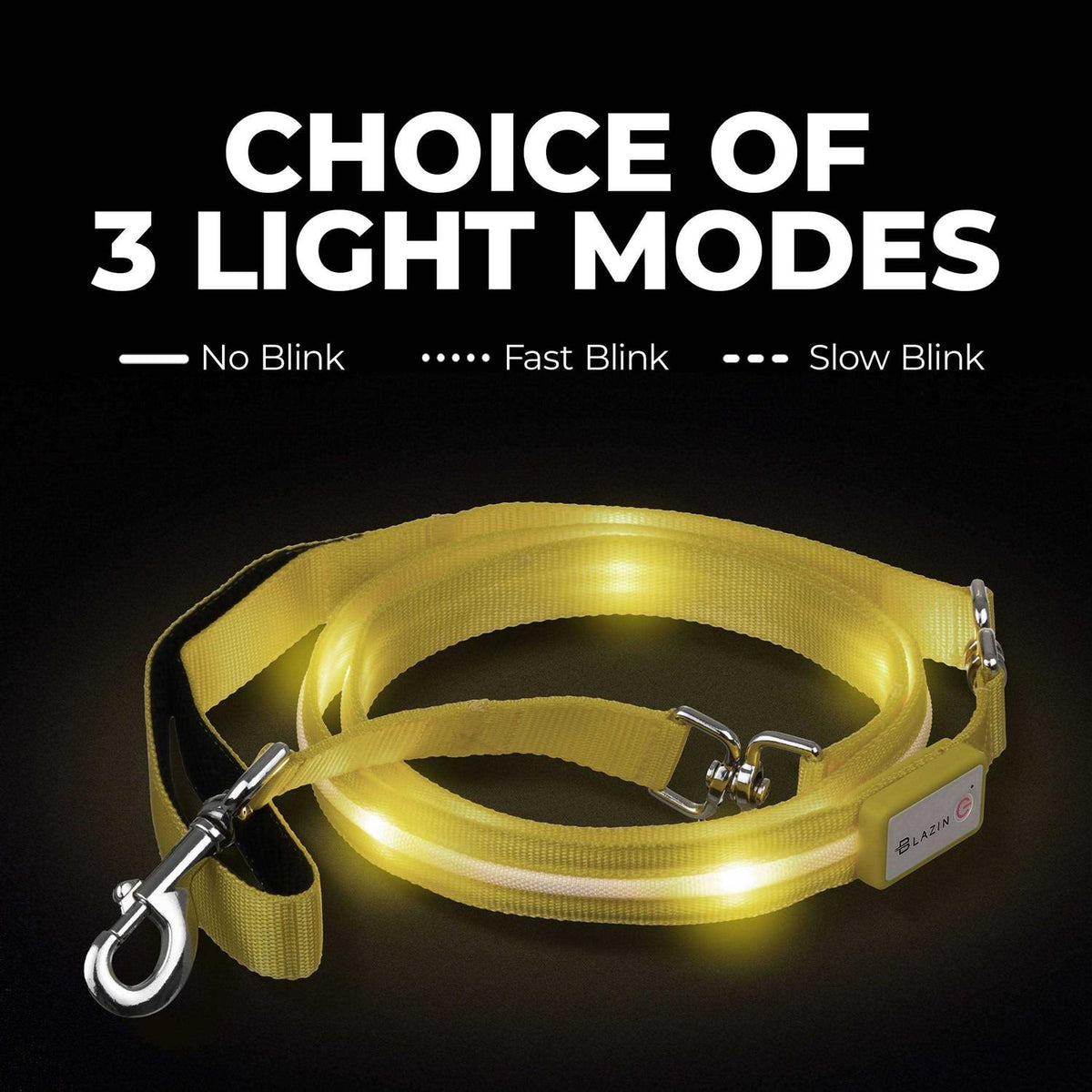 LED Dog Leash USB Rechargeable R398944