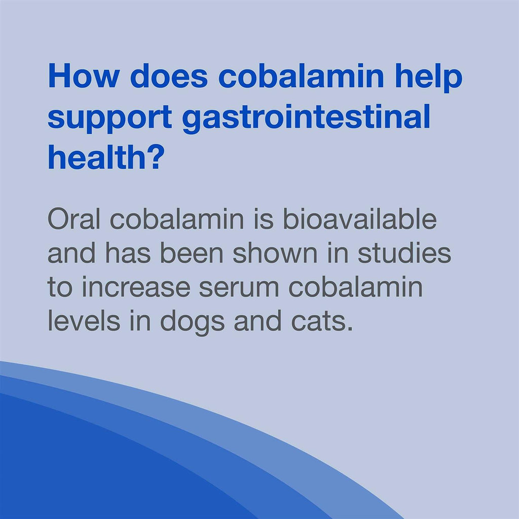 B12 Supplement Dogs K772336