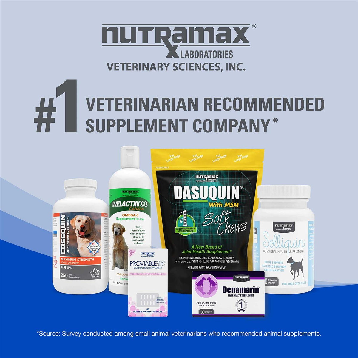 B12 Supplement Dogs K772336