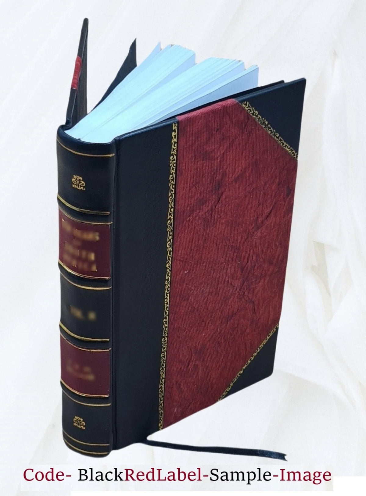 Leather Bound Book S839