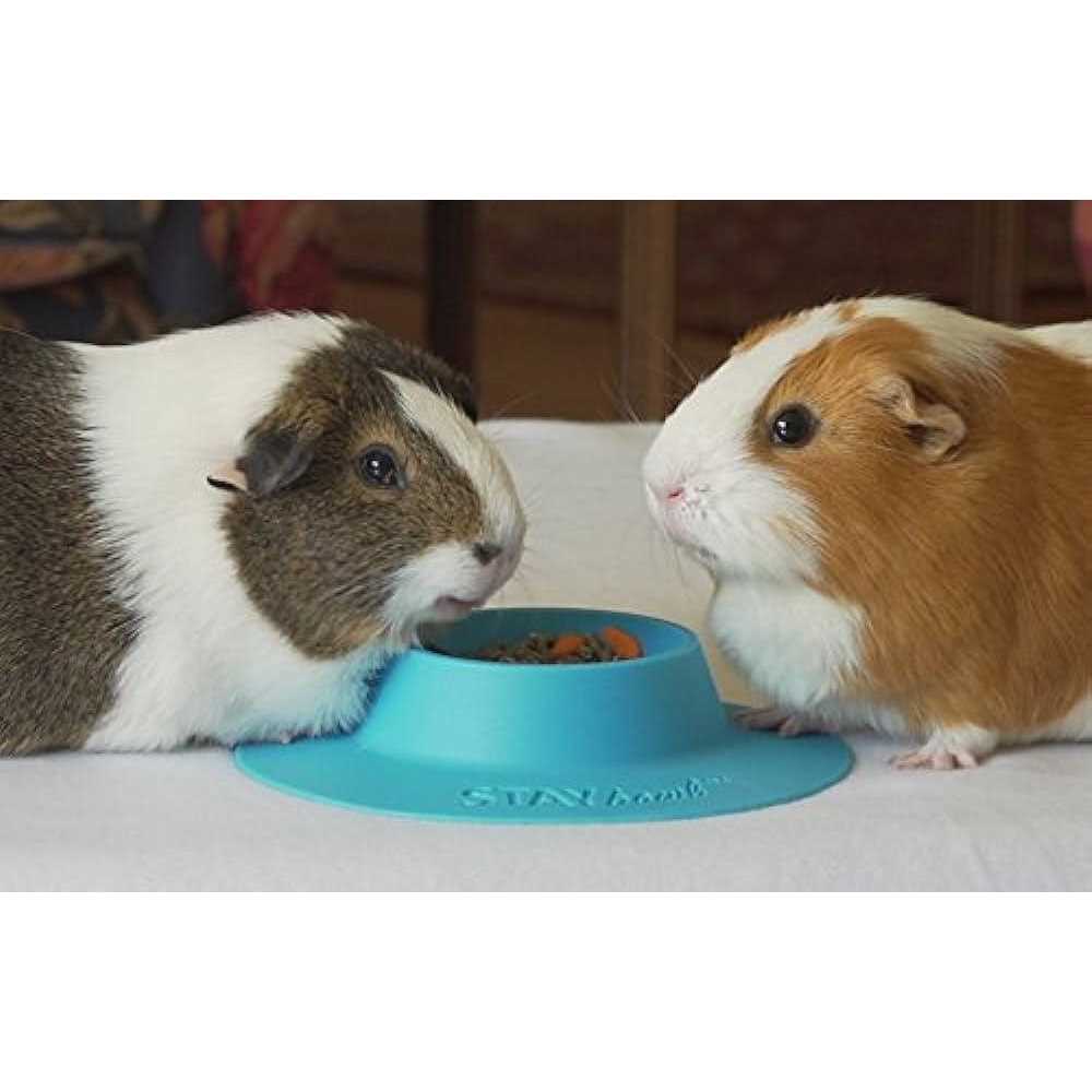 Tip-Proof Bowl for Guinea Pigs and Small Pets M670587
