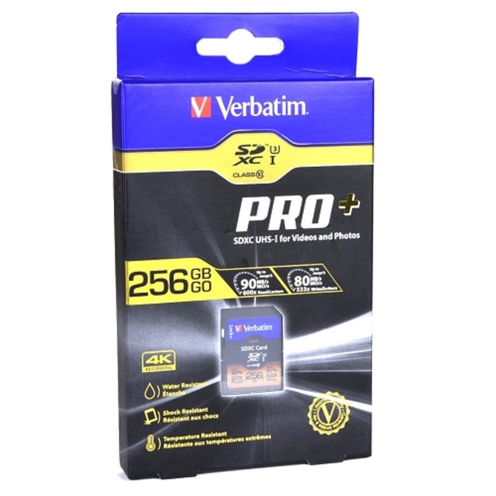 256 GB SDXC Memory Card B653858