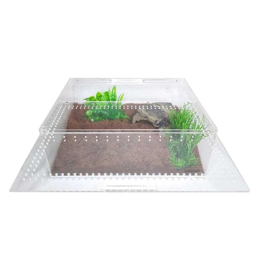 Acrylic Insect & Reptile Terrarium S41944